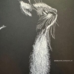 Kitty cat in the moonlight