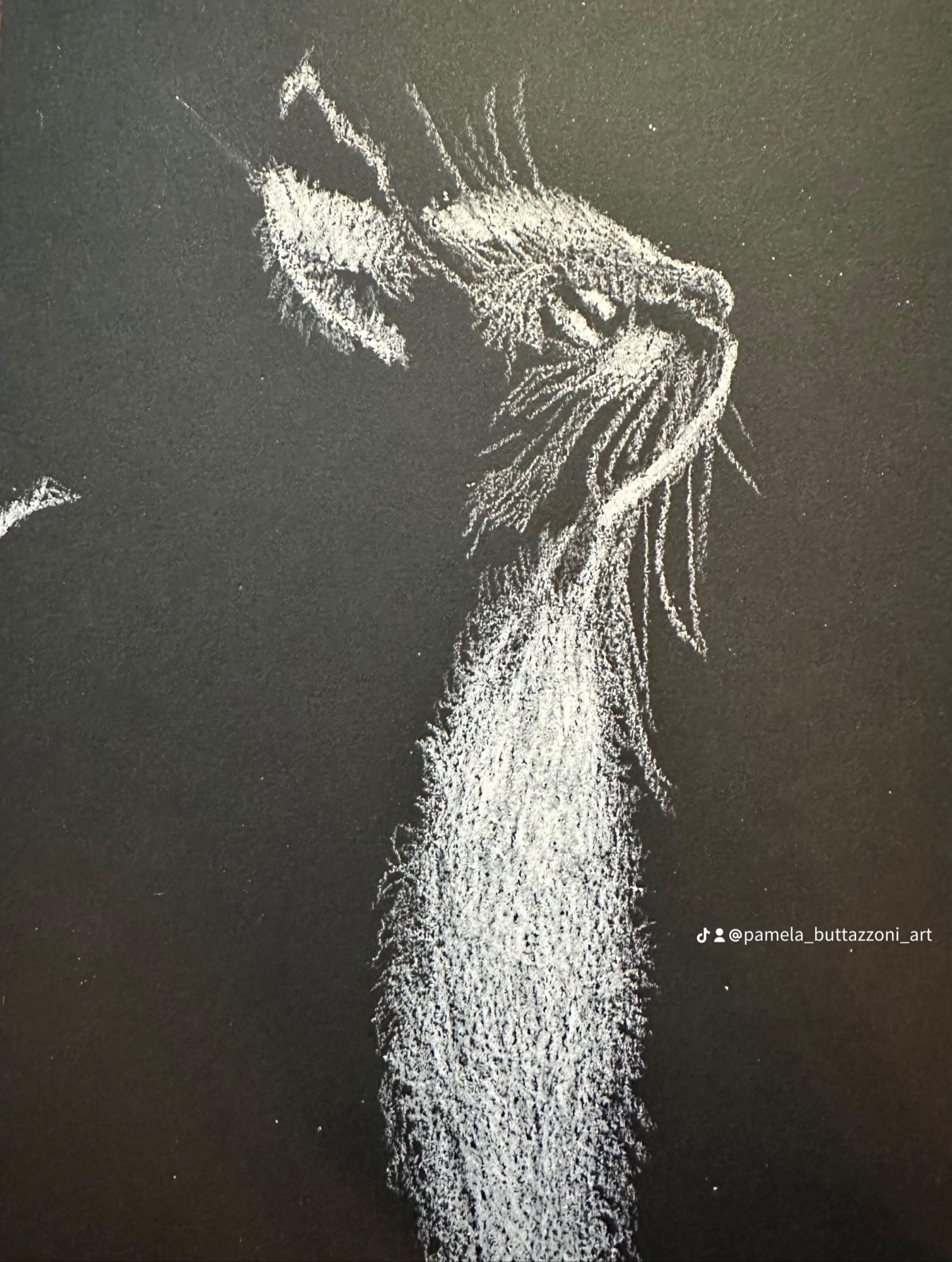 Kitty cat in the moonlight