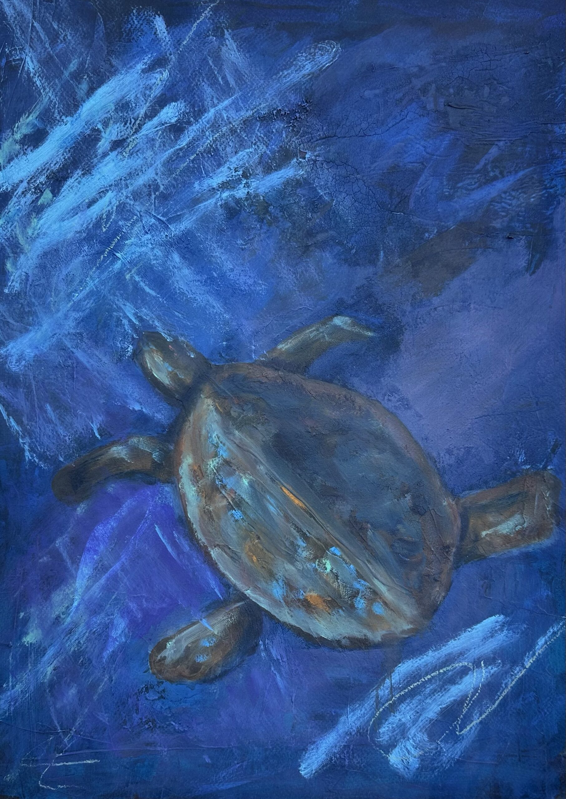 “Beneath the Quiet Current” Original Fine Artwork by Pamela Buttazzoni